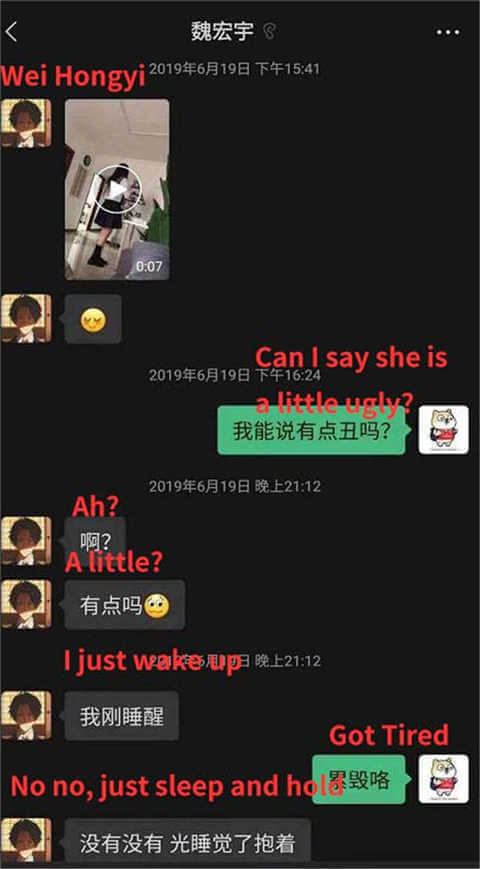 Wei Hongyu Chat log